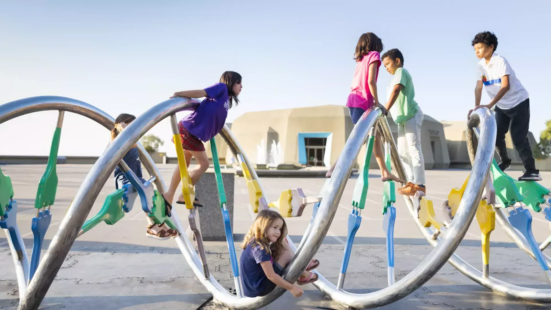 Enfants jouant sur une aire de jeux.