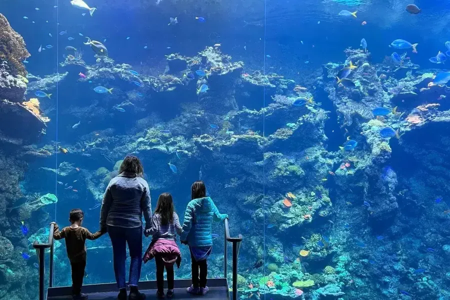 家庭与湾水族馆