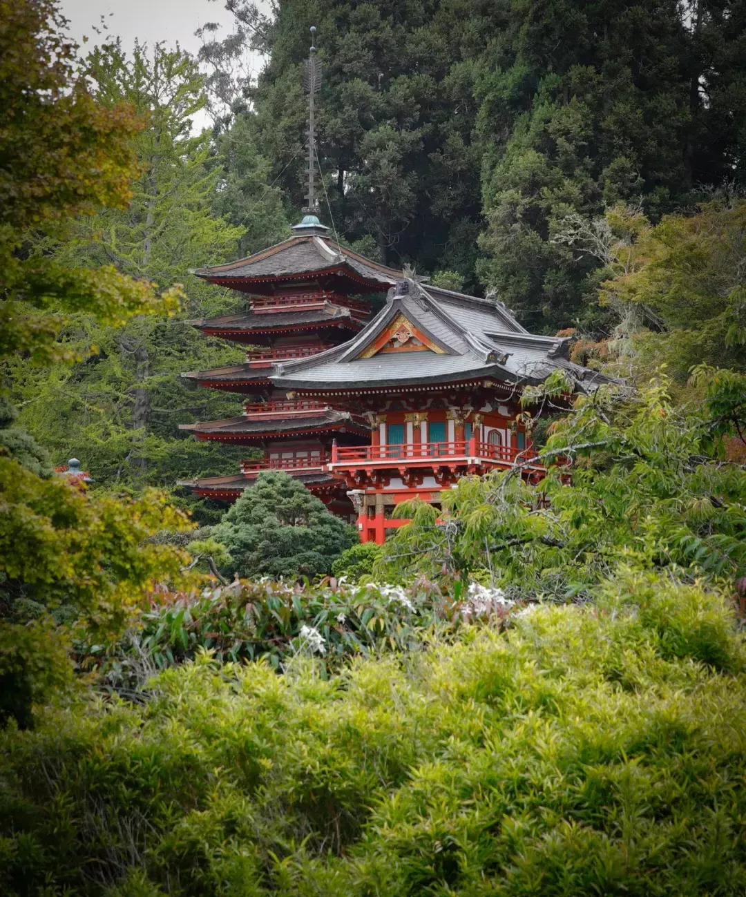 Japanese Tea Garden